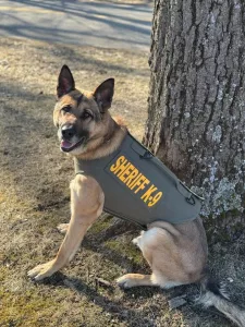 BCSD K9 Zeke