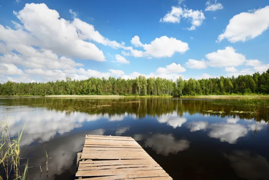 a-lake-in-estonia-in-beautiful-summer-day