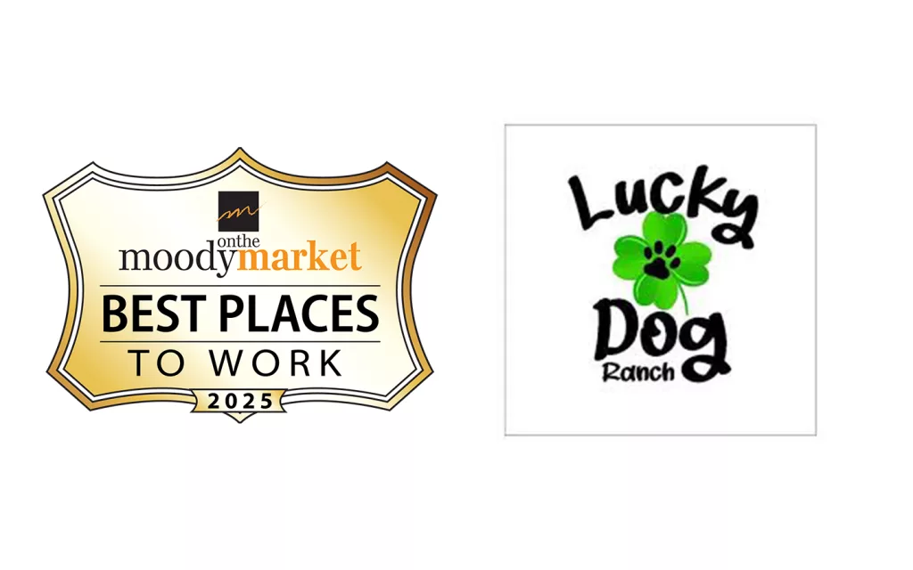 bestplaces