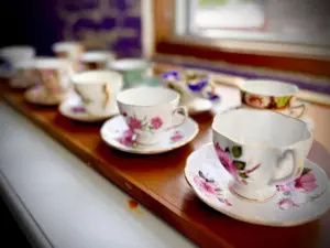 lilac loft cups