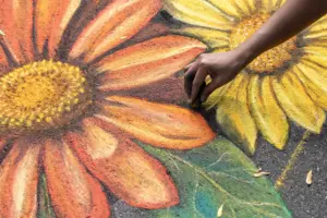 chalk sunflower