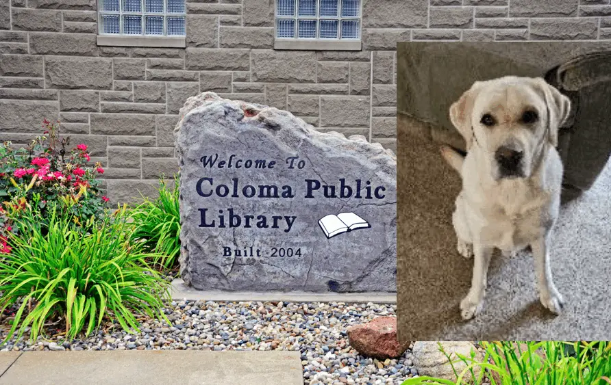 Coloma Public Library and Koda