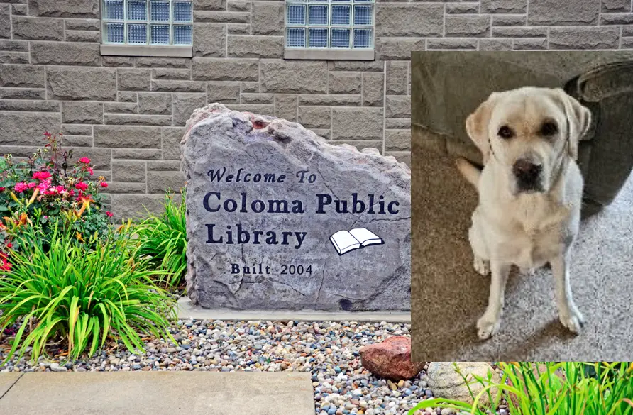 Coloma Public Library and Koda