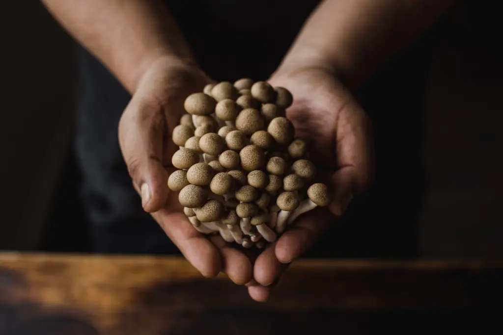 bt_givebackdinner_share