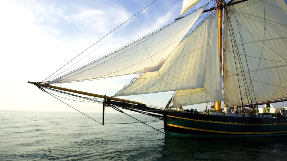 MMM Friends Goodwill