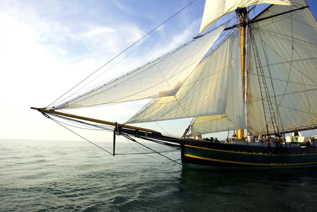 MMM Friends Goodwill