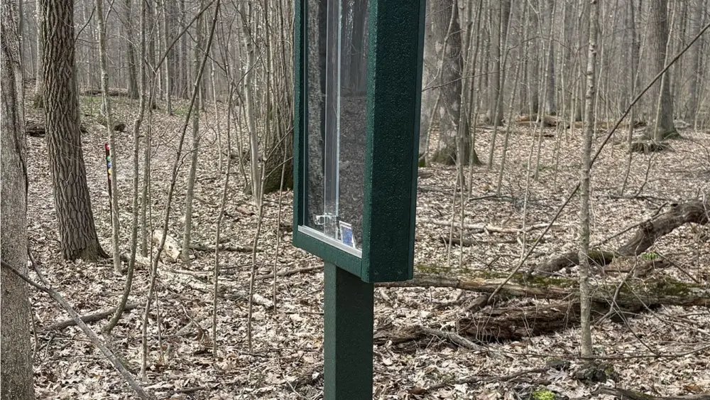 view-board-sprongy-color-coded-markers