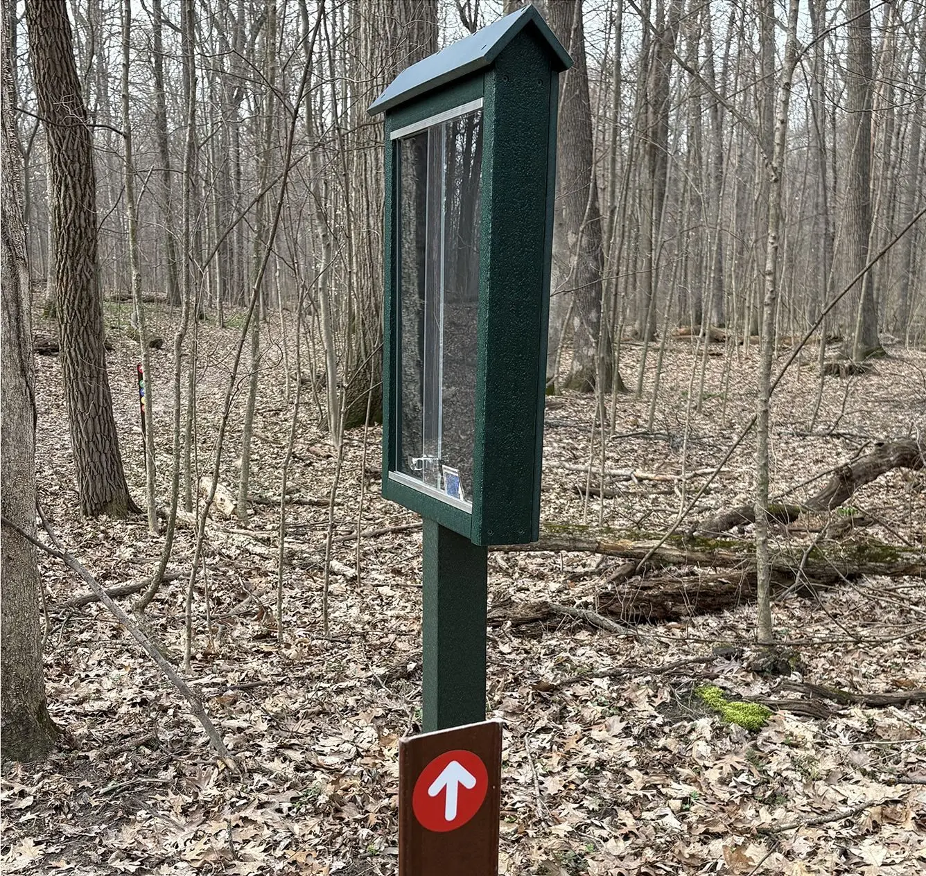 view-board-sprongy-color-coded-markers