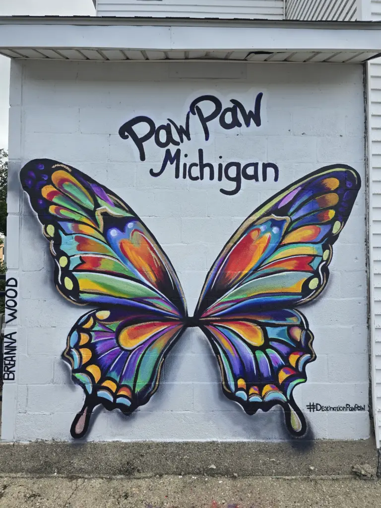 destination-paw-paw-mural-project-1
