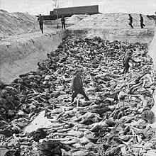 A mass grave at Bergen-Belsen concentration camp April 1945, Germany.