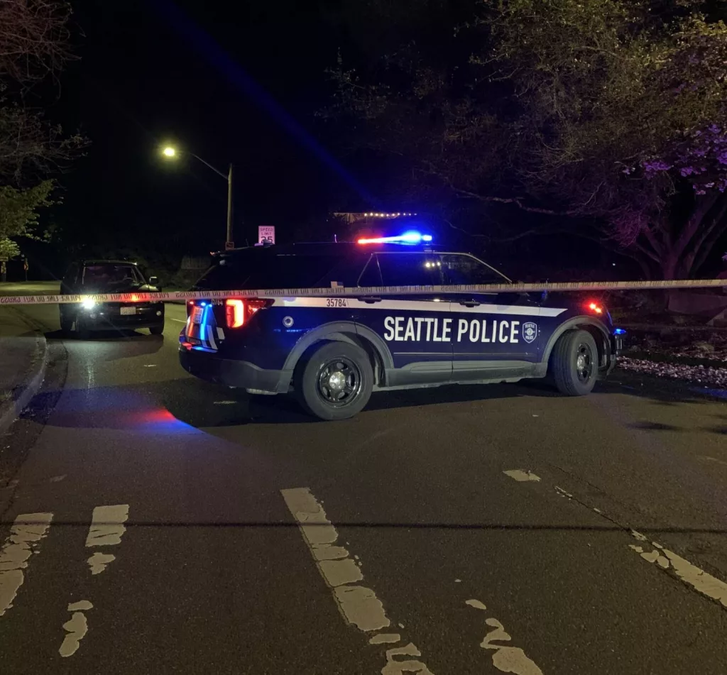 663e49d5b317a-image_-2