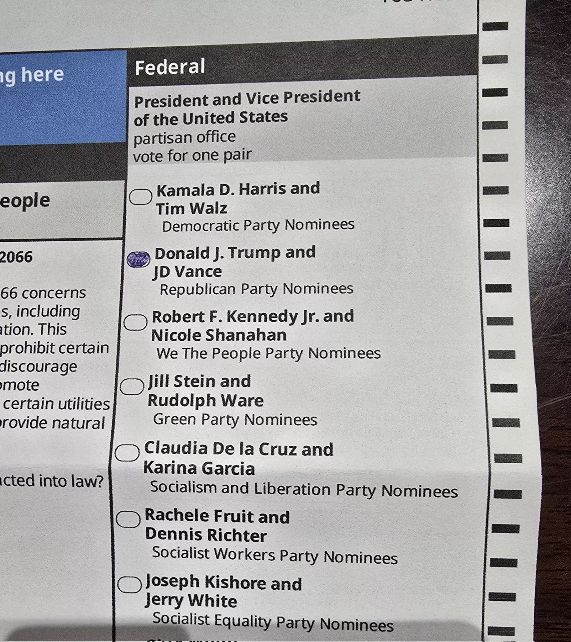 ballot, election, mail-in ballot, Trump, Harris, President