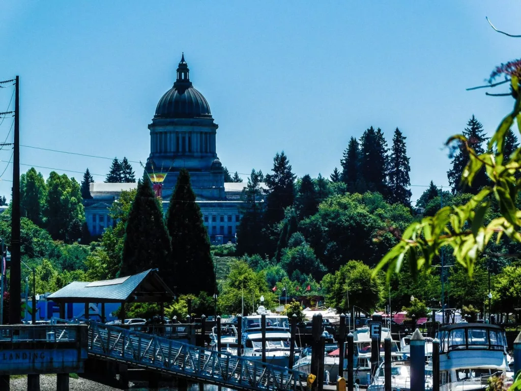6704431de2ac1-image_-8