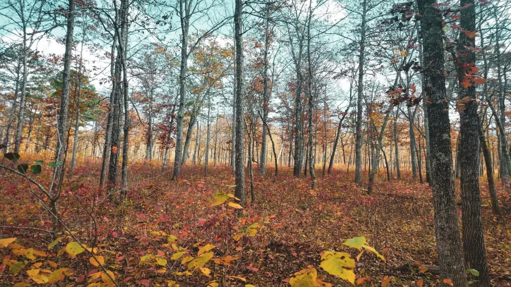 68504142c6946-image_