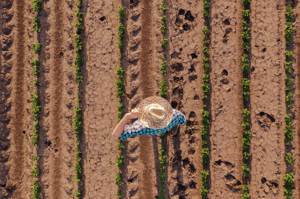 Farmer