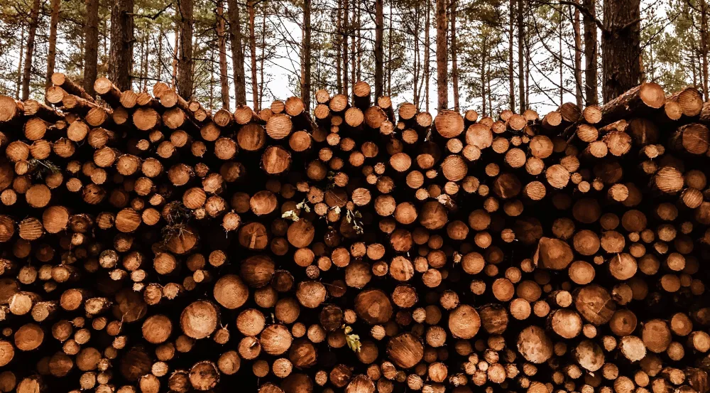 Timber
