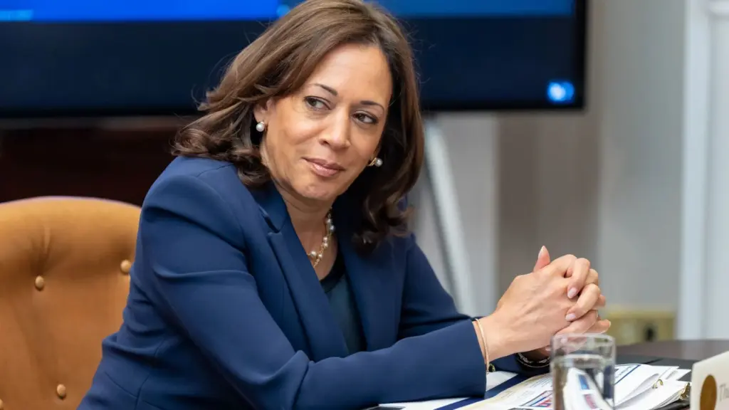 68b5d226c64a4-image_