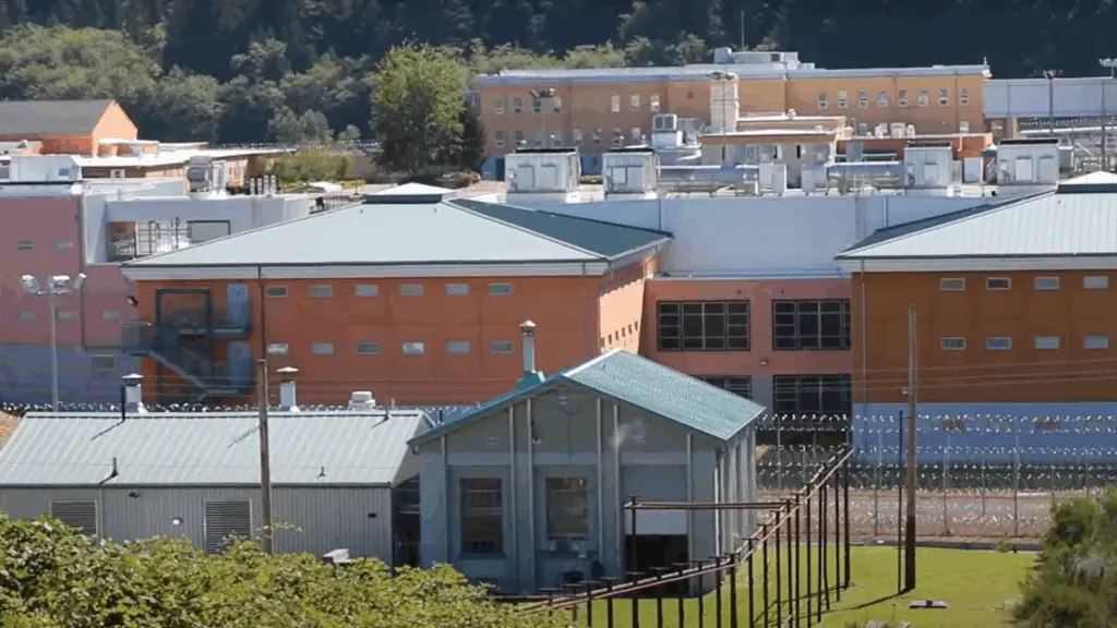 678ac548654fb-image_-3