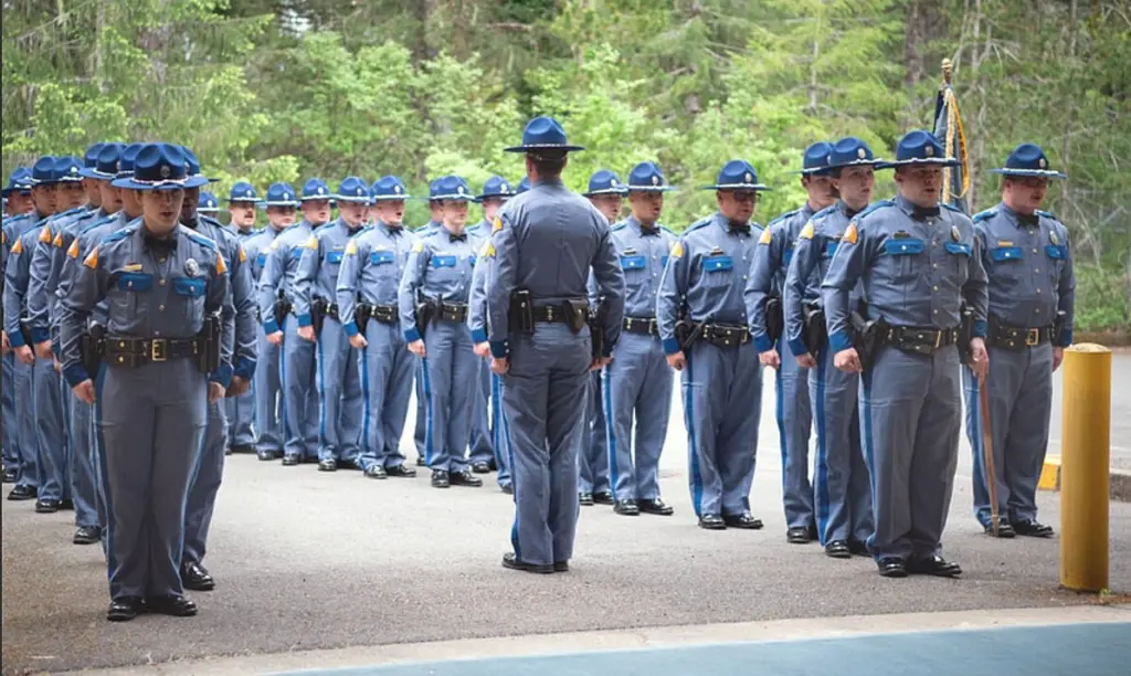 6556b3b087f3b-image_