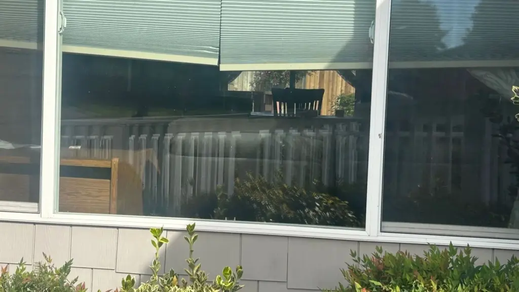 68f80cfd52002-image_