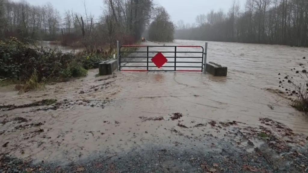 6939ebc72705f-image_