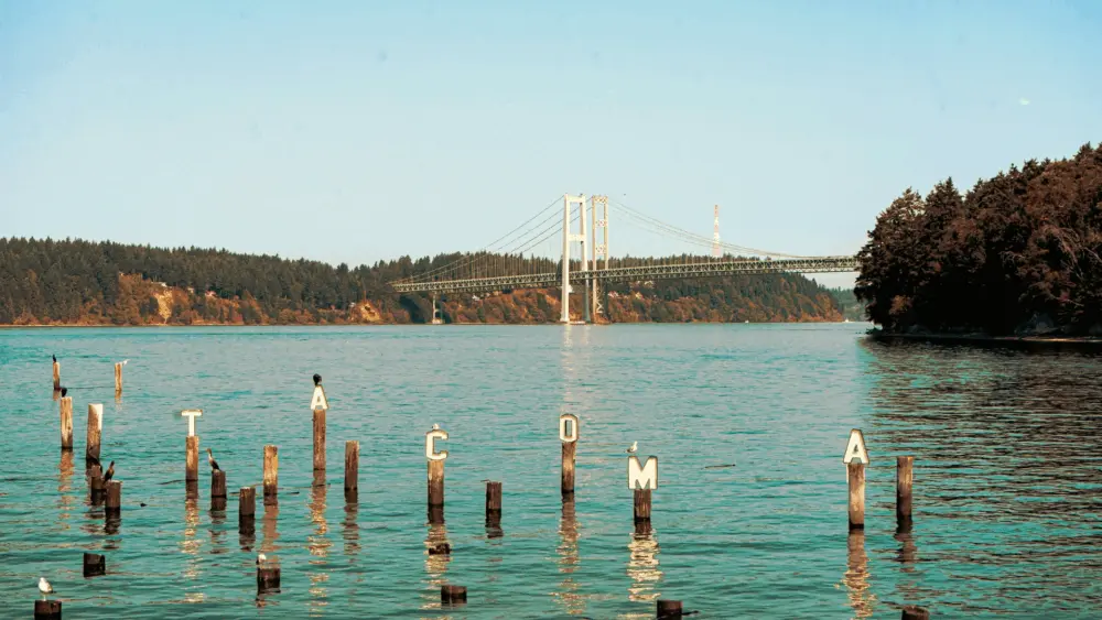 691f7a2160565-image_-4