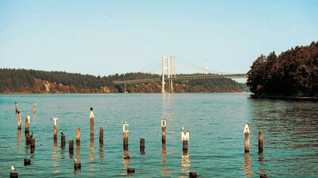 691f7a2160565-image_-4