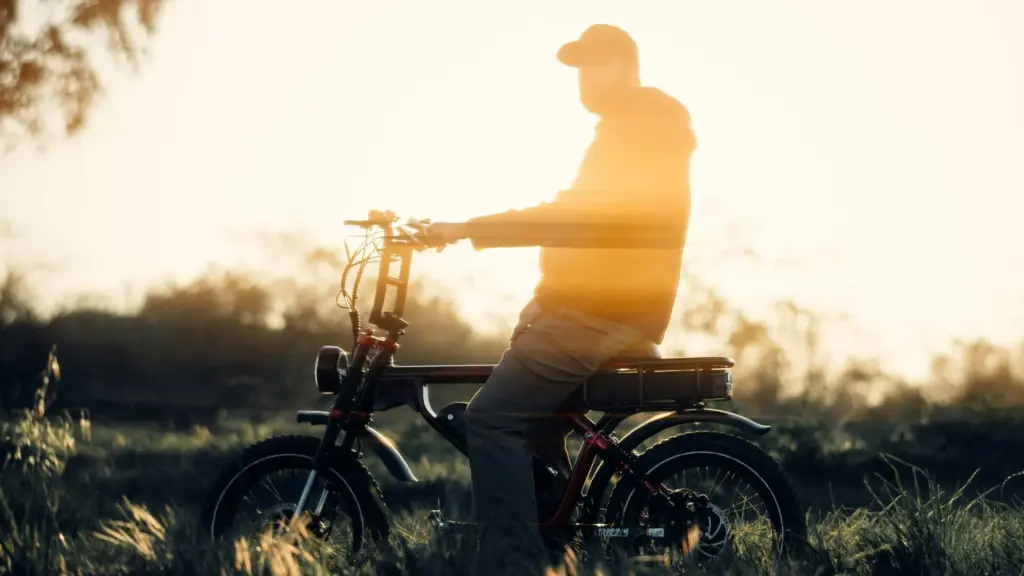 697930416ad36-image_