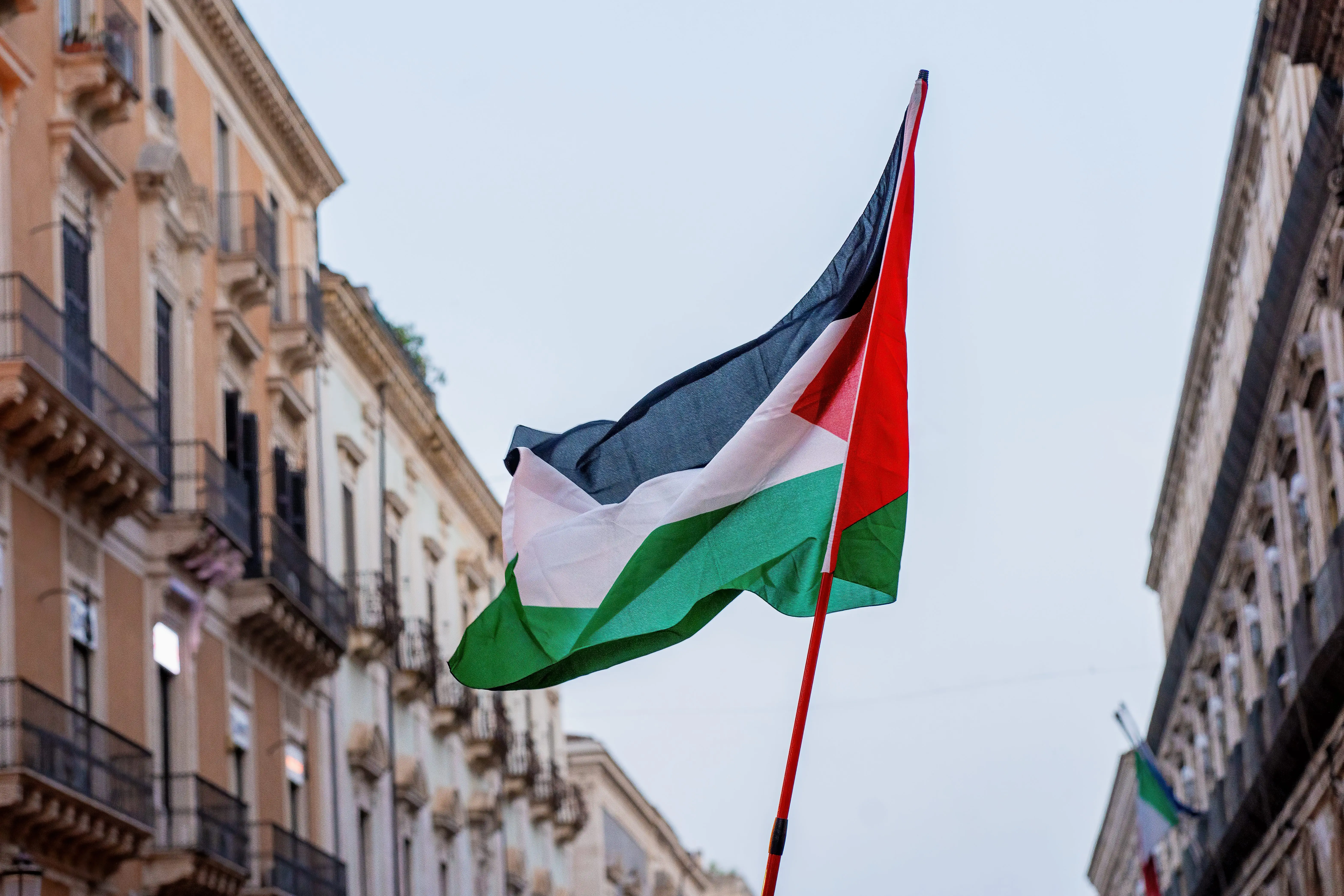 Palestine Flag