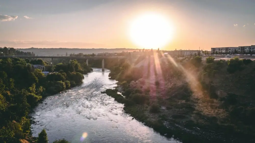 695d9a626bae2-image_-4