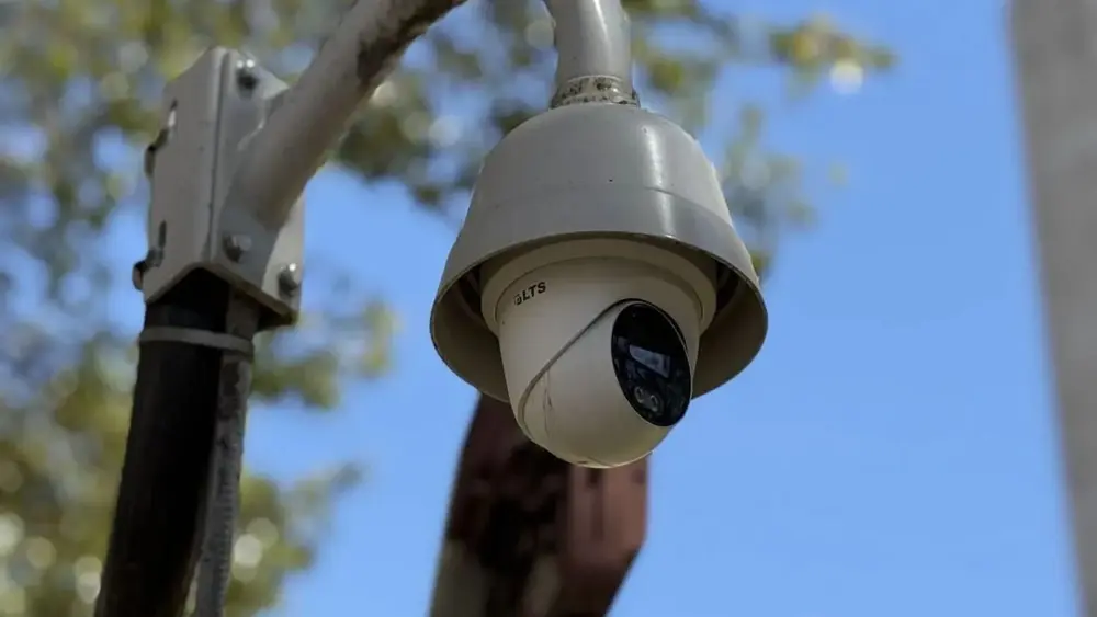 68dd76aa19764-image_-2