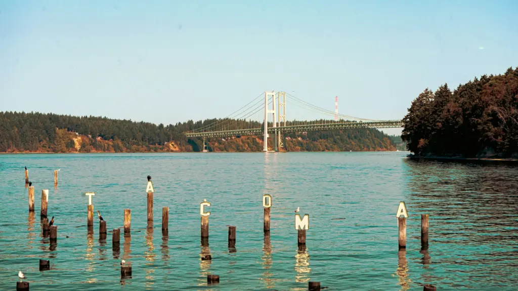 691f7a2160565-image_-5