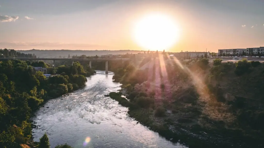 695d9a626bae2-image_-9