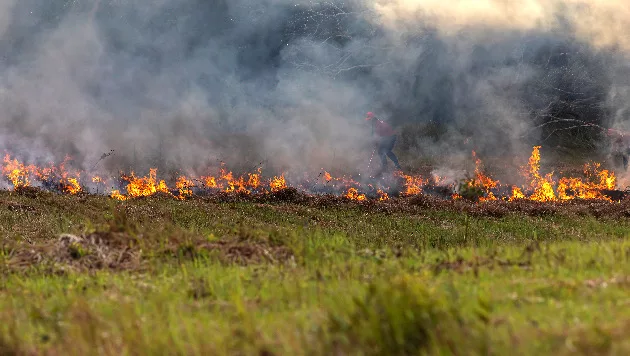 gettyrf_080923_wildfiresgreengrass551338