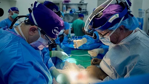 nyulangone_pigkidneytransplant_081623371509