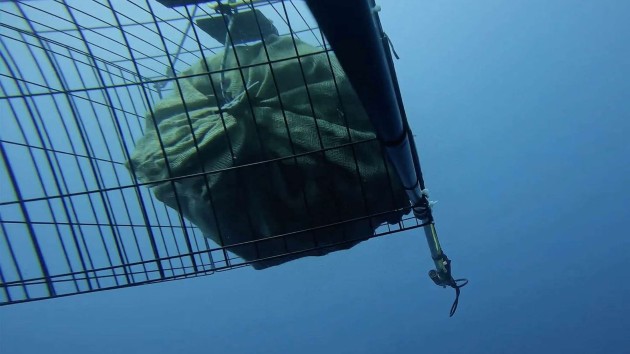 carbon-black-sea-sinking-ht-moe-009-230918_1695058037957_hpmain_16x9t259589