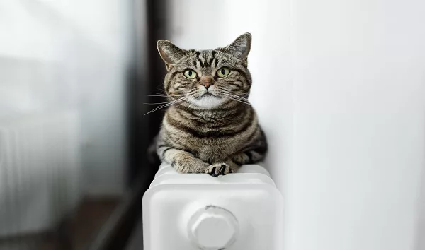 gettyimages-1458713726234809