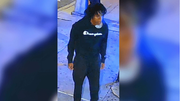 nypd_suspect_100423158160