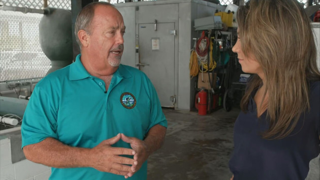 mississippi-saltwater-councilman-abc-jt-31004_1696448728072_hpembed_16x9715836