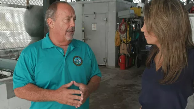 mississippi-saltwater-councilman-abc-jt-31004_1696448728072_hpembed_16x9715836