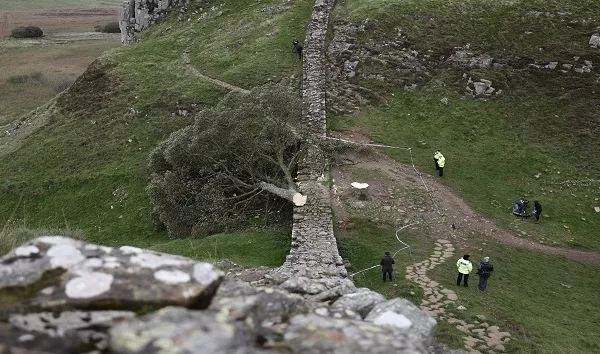 gettyimages-1695069447614050