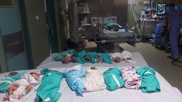 getty_111423_alshifanicu750031