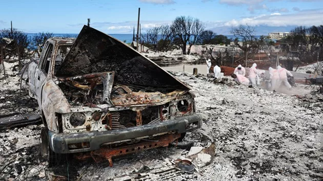 gettyimages_mauiaftermath_112823413301