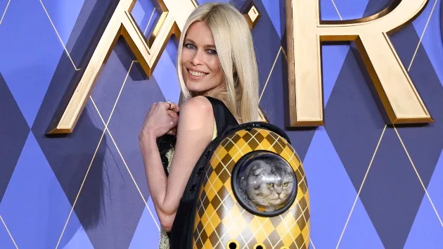 getty_schiffer_chip_the_cat_01262024103680