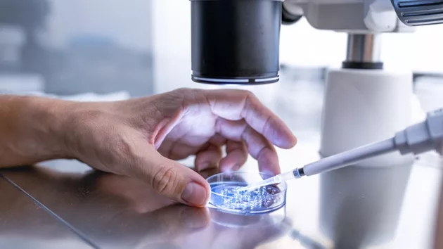 gettyimages_ivf_0222324935142