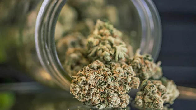 gettyrf_102522_marijuanabudsd2028129536844