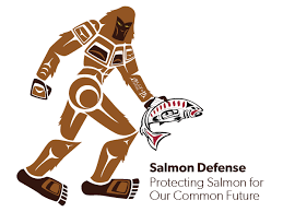 Salmon Defense coalition teams up to save threatened chinook runs