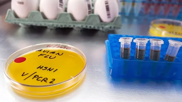 gettyimages_birdflu_052224803436