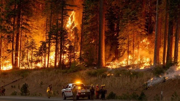 gettyimages_wildfire_073024743525