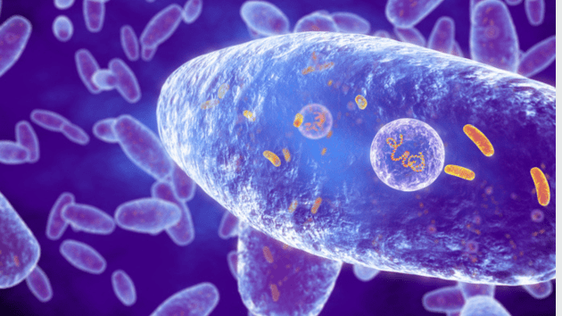 untitled20design20282829409014